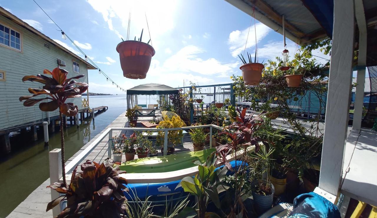 Urania House Villa โบกัสทาวน์ ภายนอก รูปภาพ